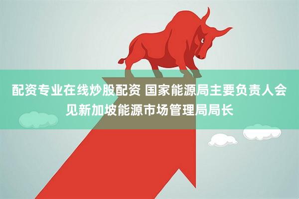 配资专业在线炒股配资 国家能源局主要负责人会见新加坡能源市场管理局局长