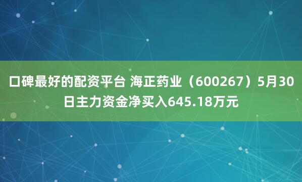 口碑最好的配资平台 海正药业（600267）5月30日主力资金净买入645.18万元